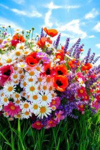 A Colorful Bouquet of Wildflowers – free AI stock image