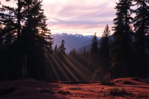 A Serene Forest Background at Dusk – free AI stock image
