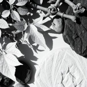 Abstract Monochrome Patterns in Nature – free AI stock image