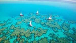 Aerial Serenity Above Coral Reef – free AI stock image