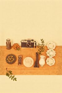 An Array of Everyday Objects Arranged Artfully – free AI stock image
