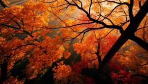 Autumn Serenity: Overhead Forest View – free AI stock image