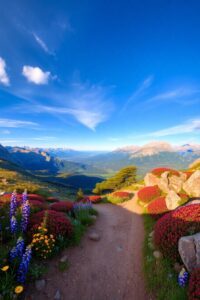 Breathtaking Views Along the Mountain Trail – free AI stock image
