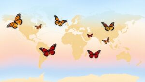 Butterfly Migration Patterns Visualized – free AI stock image