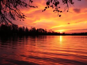 Calm Lake Under a Golden Sunset Reflection – free AI stock image