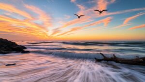Dusk Serenity by the Coast – free AI stock image