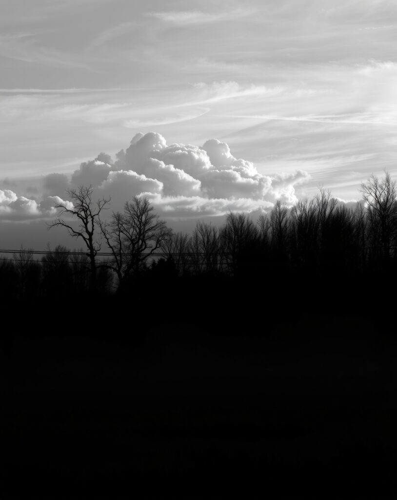 Elegant Monochrome Landscape at Dusk – free AI stock image