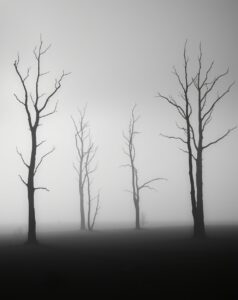Elegant Monochrome Landscape in Fog – free AI stock image