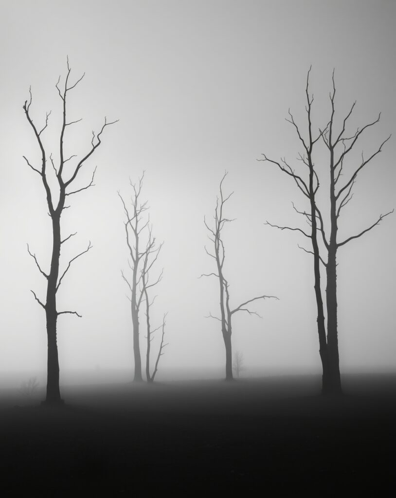 Elegant Monochrome Landscape in Fog – free AI stock image