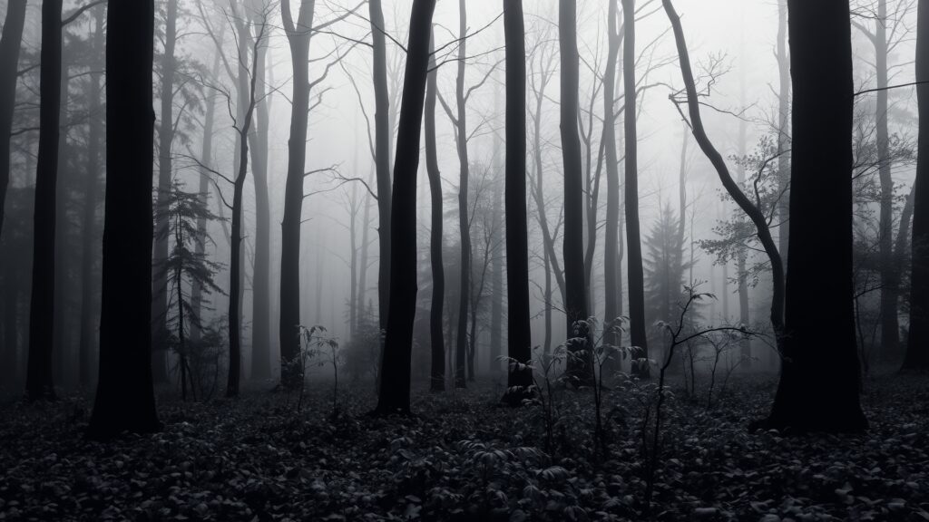 Ethereal Forest in Monochrome Shadows image – free AI stock image
