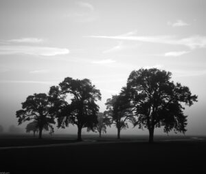 Ethereal Monochrome Landscape at Dusk – free AI stock image