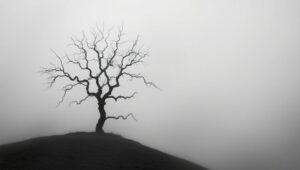 Ethereal Tree in Misty Monochrome – free AI stock image
