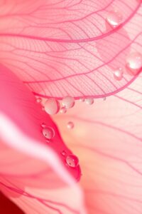 Intricate Details of a Flower Petal – free AI stock image