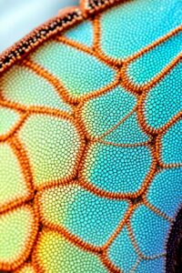 Intricate Patterns of a Butterfly Wing – free AI stock image