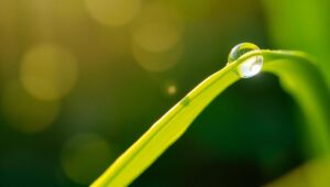 Macro Lens on Nature’s Details – free AI stock image