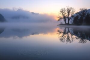 Mist Over the Serene Lake at Dawn – free AI stock image