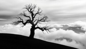 Misty Monochrome Landscape – free AI stock image