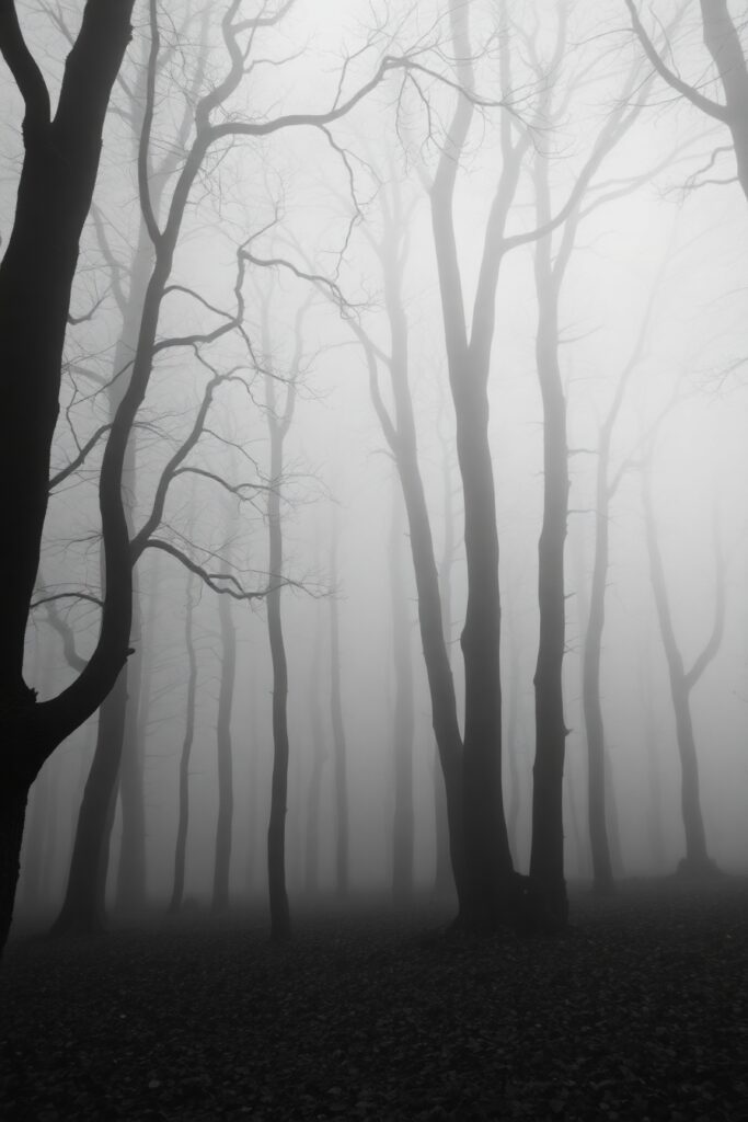 Monochrome Forest in Misty Atmosphere – free AI stock image