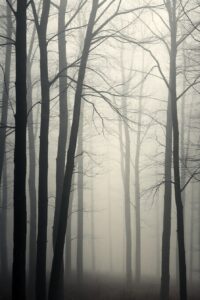 Monochrome Forest in Misty Morning Light – free AI stock image