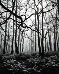Monochrome Forest with Elegant Shadows – free AI stock image