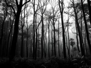 Monochrome Forest with Faint Shadows – free AI stock image