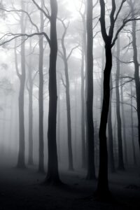 Monochrome Forest with Misty Background – free AI stock image