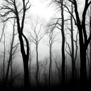 Monochrome Forest with Silhouetted Trees – free AI stock image