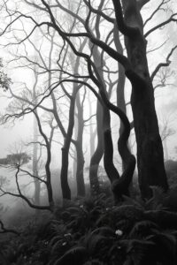 Monochrome Landscape of a Silent Forest – free AI stock image