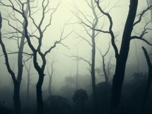 Monochrome Misty Forest Landscape – free AI stock image