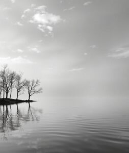 Monochrome Reflections in Water – free AI stock image