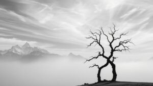Monochrome Serenity in Nature – free AI stock image