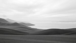 Monochrome Serenity in Nature – free AI stock image