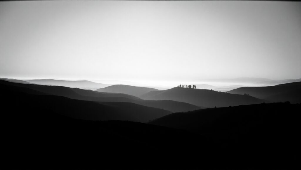Monochrome Serenity in Shadows – free AI stock image