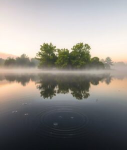 Morning Mist Over Tranquil Lake Surface – free AI stock image
