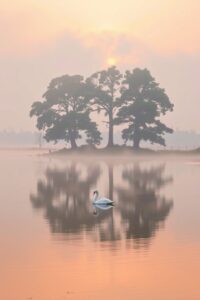 Mystical Lake at Dawn with Mist – free AI stock image