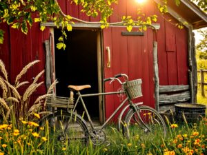 Old Vintage Bicycle by an Abandoned Barn – free AI stock image