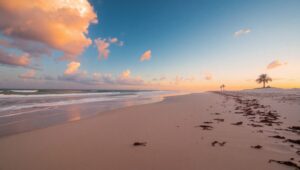Peaceful Sunrise at the Beach – free AI stock image