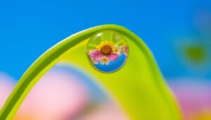Reflections in a Dewdrop – free AI stock image