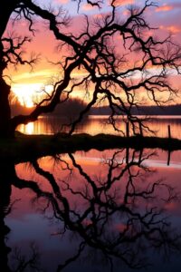 Reflections in a Serene Lake at Sunset – free AI stock image