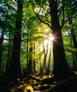 Serene Forest Background with Sunlight Filtering – free AI stock image