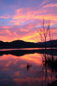 A Serene Lake Reflecting a Golden Sunset – free AI stock image