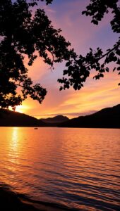 Serene Lakeside Sunset with Silhouetted Trees – free AI stock image