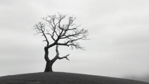 Serene Monochrome Landscape with Tree – free AI stock image