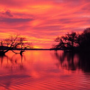 Serene Sunset Over a Quiet Lake – free AI stock image