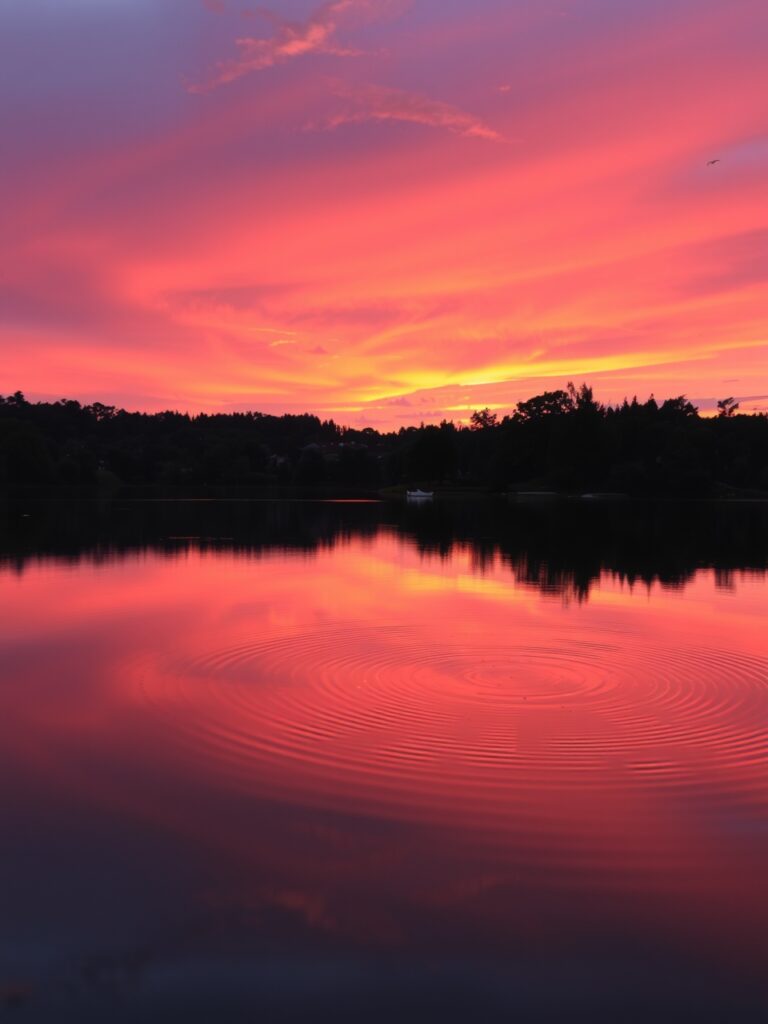Serene Sunset Over Tranquil Lake – free AI stock image