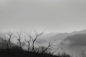 Shades of Grey: A Monochrome Landscape – free AI stock image