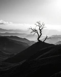 Shadows and Light in Monochrome Landscape – free AI stock image