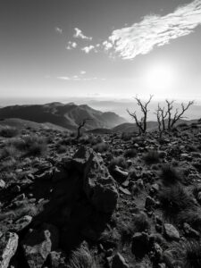Shadows and Light in Monochrome Landscape – free AI stock image
