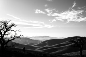 Shadows and Light in Monochrome Landscape – free AI stock image