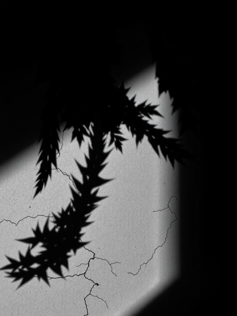 Shadows and Silhouettes in Monochrome – free AI stock image